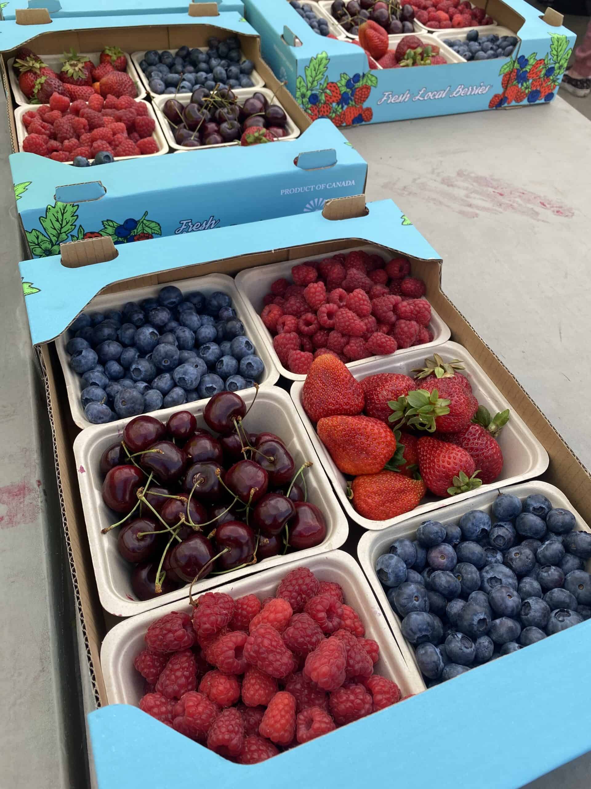 Fresh locally sourced berries, including blueberries, strawberries, raspberries, and cherries in protective packaging at a market in Red Deer, Alberta.