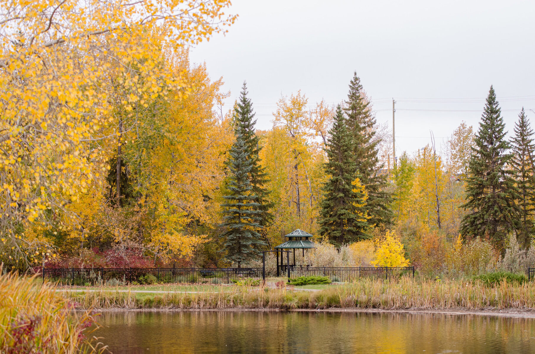 5 Scenic Fall Walks in Red Deer, Alberta You Can’t Miss - Tourism Red ...